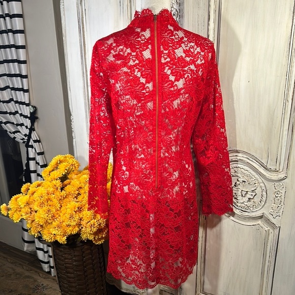 Elegant Red Lace Mini Dress - Picture 8 of 11